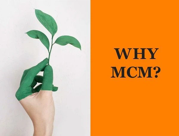 Modified Clay Econic Clay Raw Material