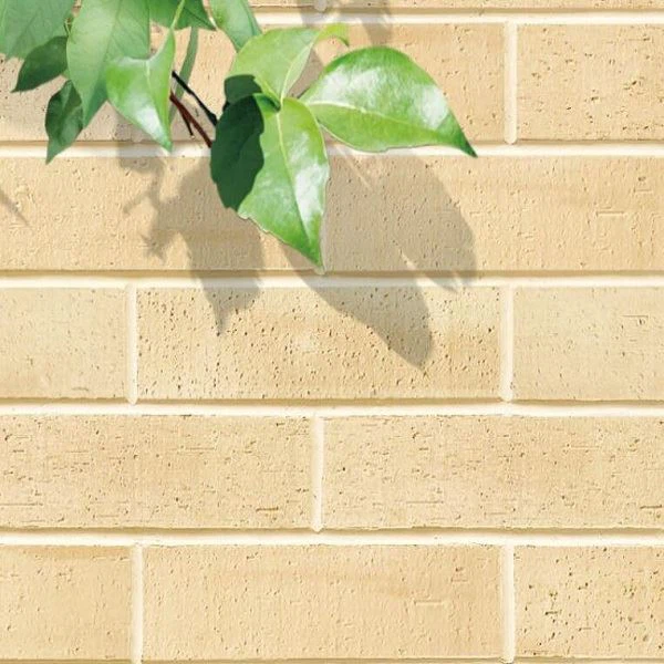 Modified Clay Econic Clay material A brick